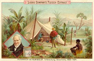 アレクサンダーフォンフンボルトの南アメリカ遠征、1800年-1804年 作： European School