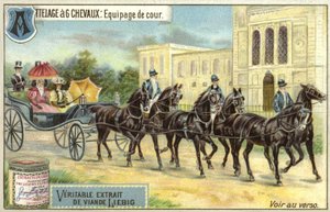 6頭の馬が引く馬車 作： European School