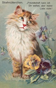 猫のポストカード（カラーリトグラフ） 作： ヨーロピアンスクール