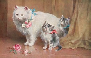 猫のポストカード（カラーリトグラフ） 作： ヨーロピアンスクール