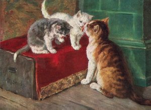 猫のポストカード（カラーリトグラフ）