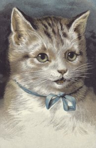 青い首輪の猫（クロモリソ） 作： ヨーロピアンスクール