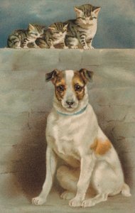 犬を観察する猫（カラーリトグラフ） 作： European School