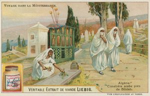 アルジェリアのブリダに近い墓地 作： European School