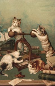 コミックキャッツ、プレスブック（カラーリトグラフ） 作： ヨーロピアンスクール