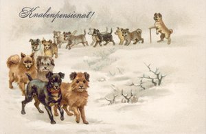 犬のポストカード（カラーリトグラフ） 作： European School