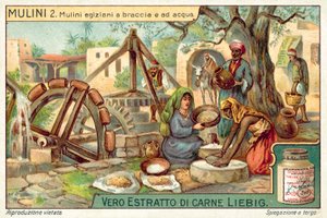 エジプトの手回しと水回しのミル（クロモリト 作： European School