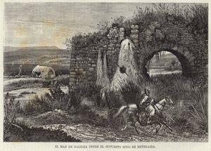 ベサイドの疑いのあるサイトからのガリリー海 作： European School