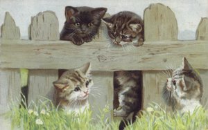 フェンスのそばの4匹の子猫（クロモリト） 作： ヨーロピアンスクール