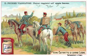 フランス陸軍の伝書鳩（クロモリハト 作： European School