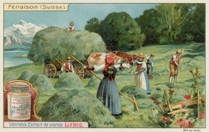 スイスの干し草
