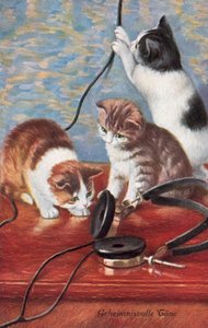 ユーモラスな猫のポストカード（カラーリトグラフ） 作： ヨーロピアンスクール