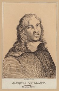 ジャック・ヴァイアン（オランダ人画家）（銅版画 作： European School