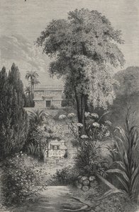 Le Paradis De Quetzalcoatl (エングレービング) 作： European School