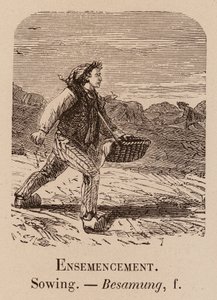 実例となる語彙: 播種; 播種; Besamung (彫刻) 作： European School