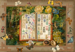 サンメルスリウム第8巻のページ（印刷物） 作： European School