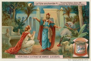 パミナは彼女を手放すためにサラストロを懇願する 作： European School