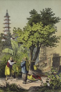 中国の人と植物（カラーリトグラフ 作： European School
