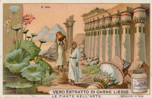 美術の中の植物、リービッヒ・カード、20世紀初頭（クロモ）