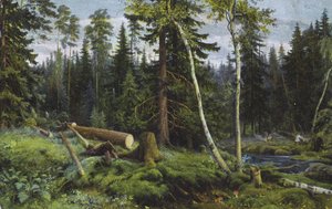 伐採された木々のある森の風景（カラーリトグラフ）
