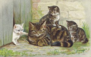 3匹の子猫を連れたタビー猫（クロモリト）