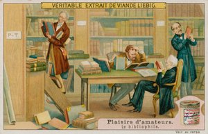 アマチュア書誌学者 作： European School
