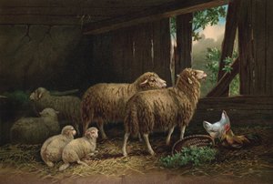 羊小屋（クロモリソ） 作： European School