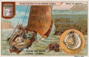 海の宝物、リービッヒ・カード、20世紀初頭（クロモ）