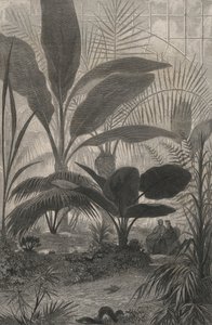 冬の庭」（彫刻 作： European School