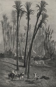 サハラ砂漠のオアシス（銅版画 作： European School