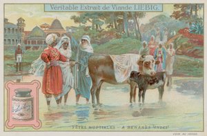 バラナシの結婚式の伝統 作： European School