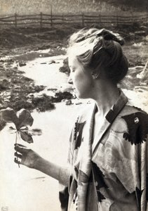 5月のリンゴの葉 作： Eva Lawrence Watson Schutze