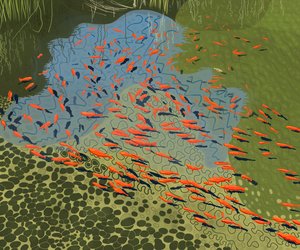 植物園のコイ池（デジタルアート）