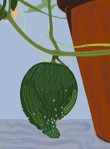 キュウリの鉢植え、ブルックリン（デジタルアート） 作： エヴァン・スクラー