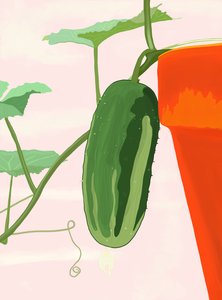 キュウリの鉢植え、ブルックリン（デジタルアート） 作： エヴァン・スクラー