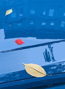 ブルックリン、青い車の上の落ち葉（デジタルアート） 作： エヴァン・スクラー