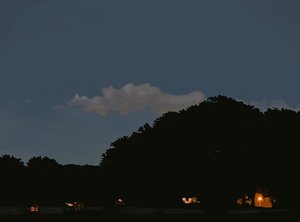 夕暮れの野原と空、プロスペクト公園、ブルックリン（デジタルアート） 作： エヴァン・スクラー