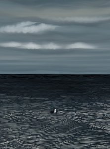 水面に浮かぶカモメと嵐の空（デジタルアート） 作： エヴァン・スクラー