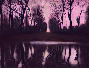 公園の池 作： エヴァン・スクラー