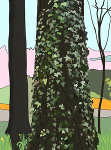 蔦のある木（デジタルアート）