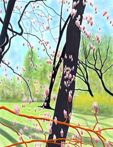 チューリップの木