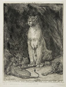座っている雌ライオンと3人のカブ、1888 作： Evert van Muyden