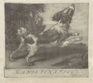 ジャンピングドッグ Canis Venaticus (オブジェクトのタイトル) 作： Evert van Sweinen