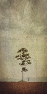 一本の木が立つ野原 作： 