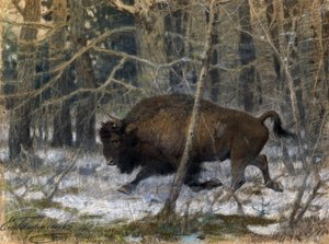 「木のバイソン」 エフゲニー・アレクサンドロヴィチ・ティチメネフ（チフメネフ）（1869-1934）によるパステル画（1910年個人蔵） 作： Evgeny Alexandrovich Tikhmenev