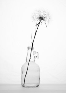  作： Eyal Amer