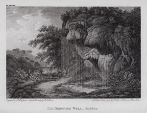 The Dropping Well, Yorkshire (Englanding) 作： F. (after) Nicholson