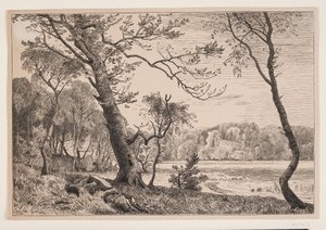 フルエンス・ベンクと対峙するシルケボーの木立 作： F. Hendriksen