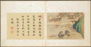 その他の主題のアルバム、葉8、1600年代。