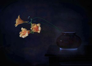  作： Fangping Zhou